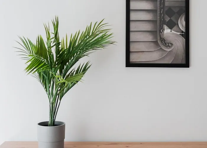 Apartamento Big Apart- Old Town- Rydygiera Street- 10 People - Market Square *